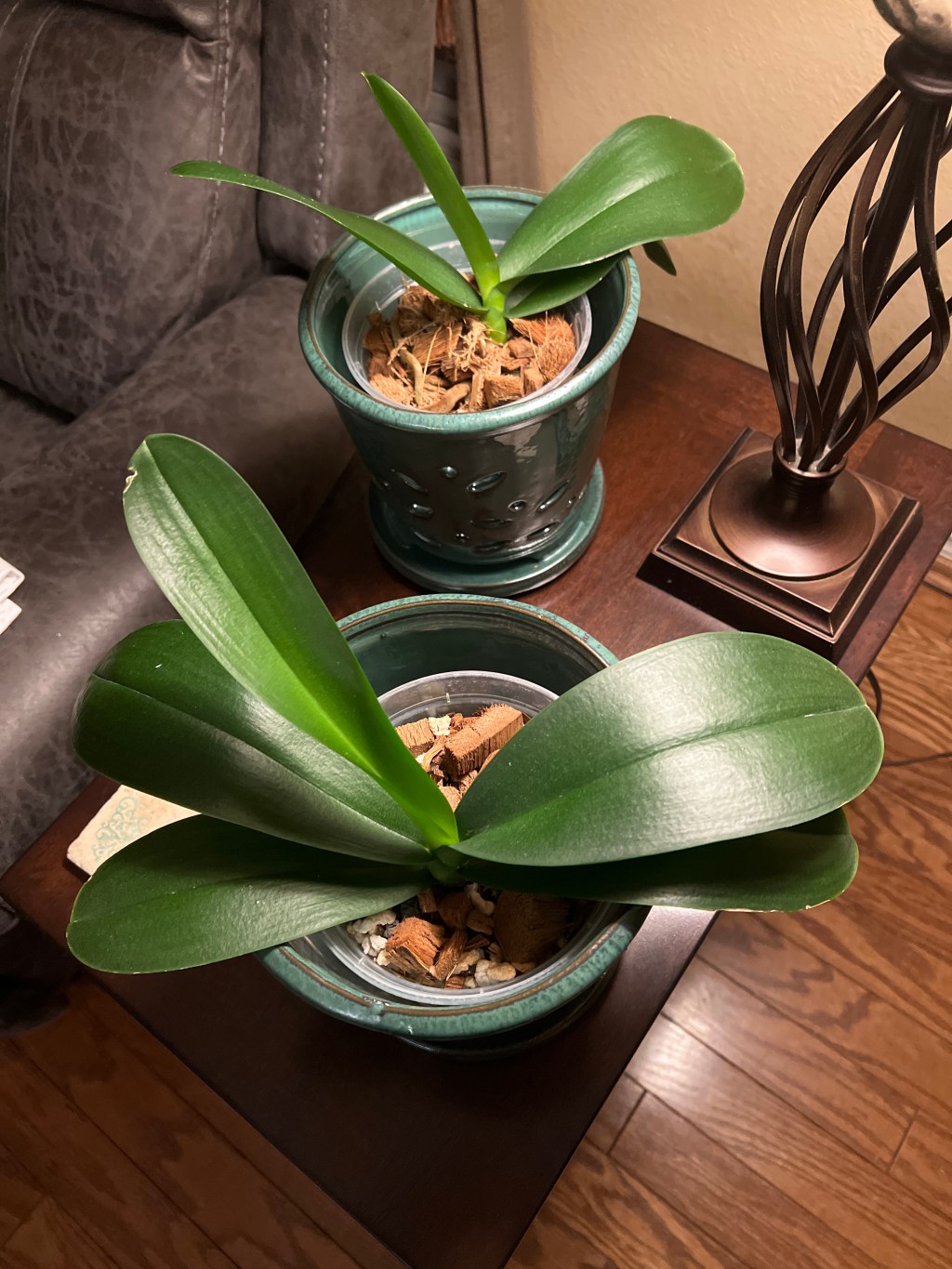 April Showers, Still No&nbsp;Flowers