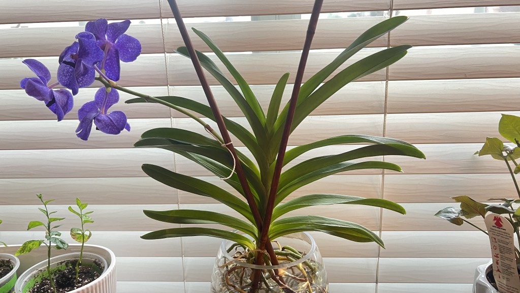 Hind Sight is&nbsp;20/20