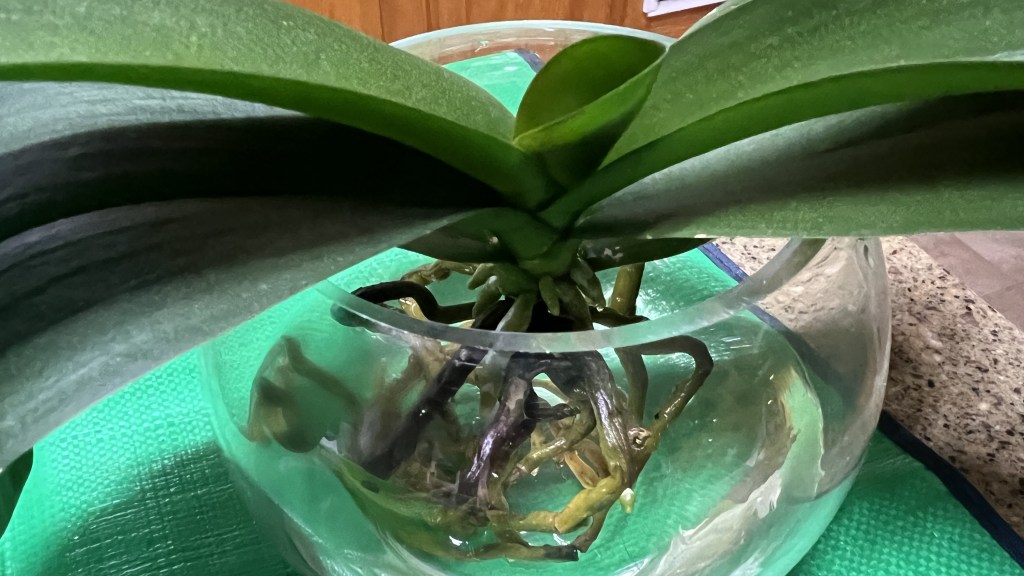 And Now For the Rest of the&nbsp;Table