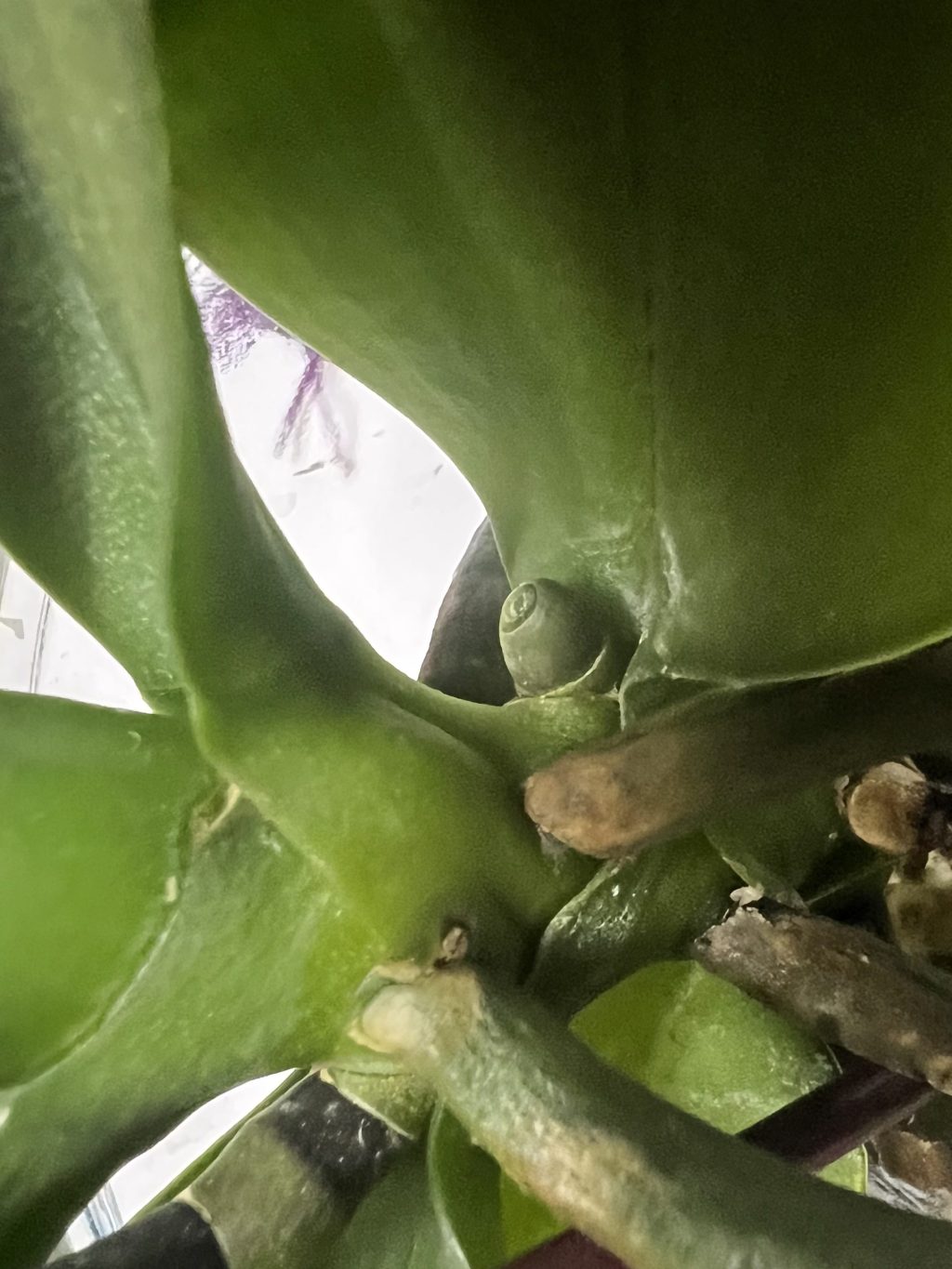 December, Winter Is&nbsp;Coming…