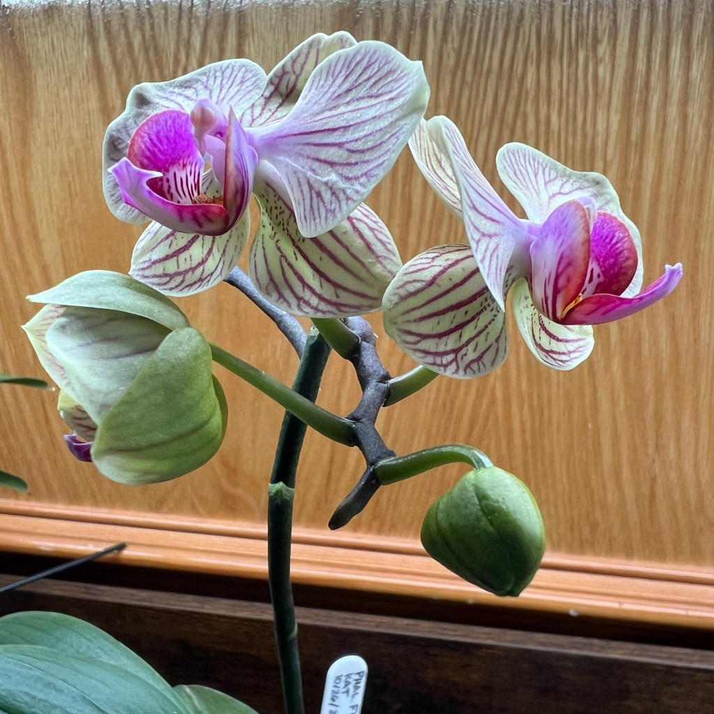 January: It’s a New&nbsp;Year