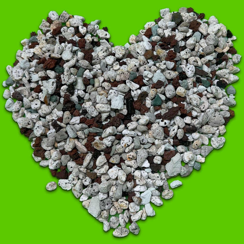 Alocasias and Semi-Hydro/Pon: What I’ve&nbsp;Learned