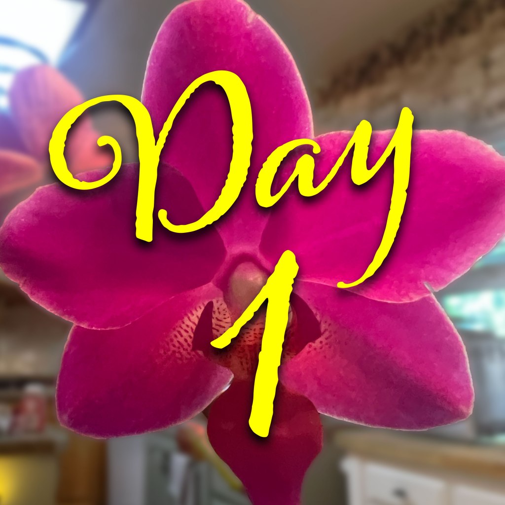 Starbuck: Water Culture Day&nbsp;1