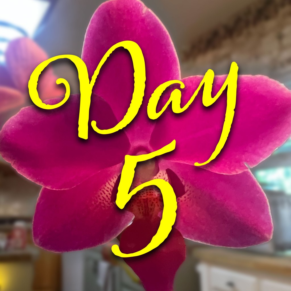 Starbuck: Water Culture Day&nbsp;5