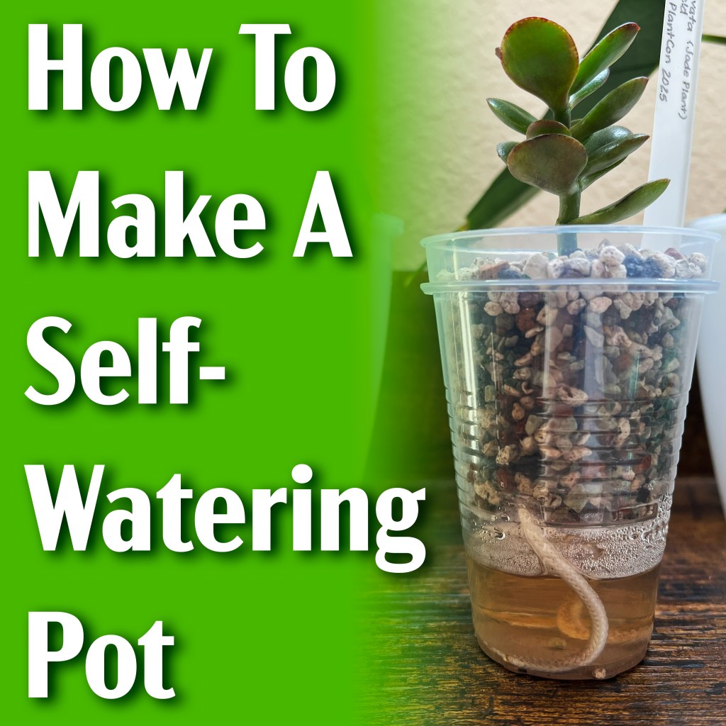 How To Make A Self-Watering&nbsp;Pot