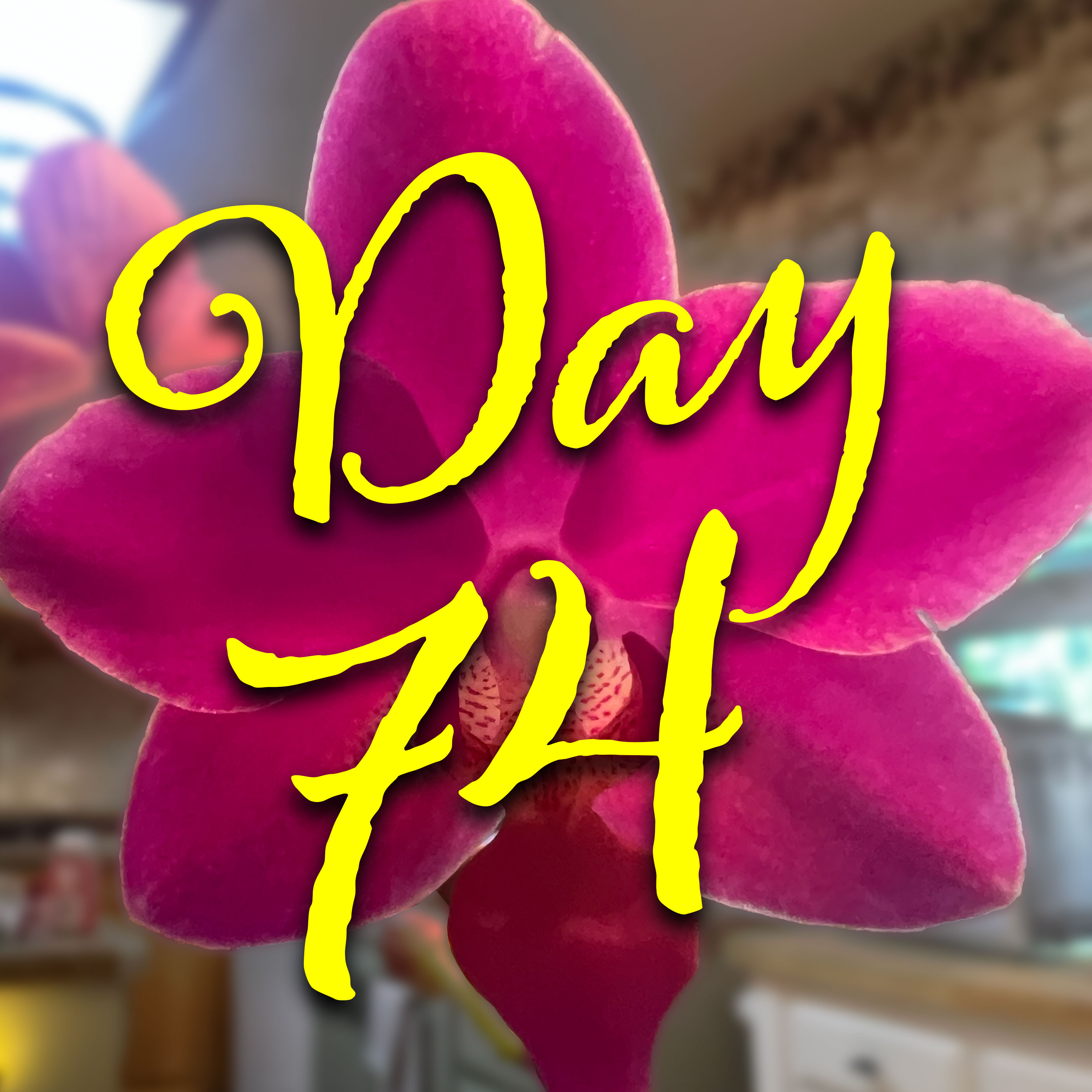 Starbuck: Water Culture Day 75