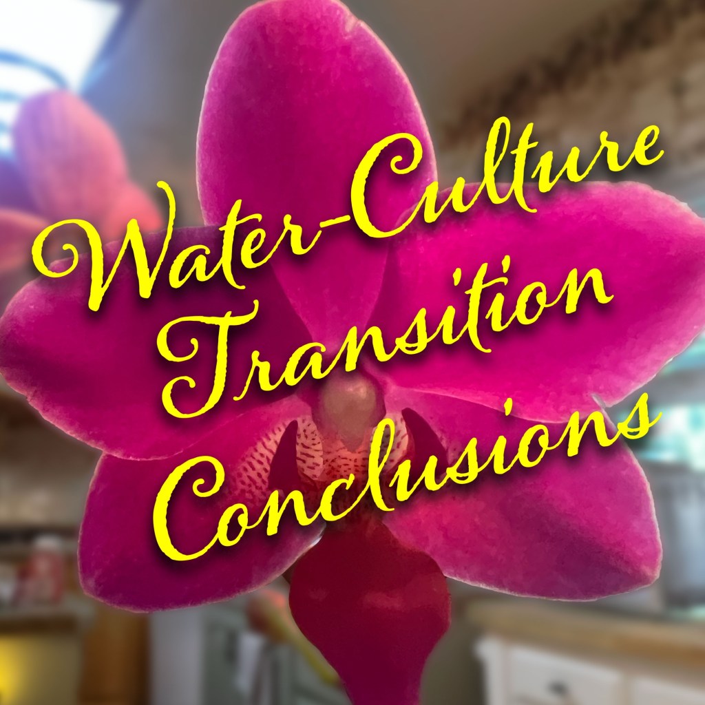 Starbuck: Water-Culture Transition&nbsp;Conclusions